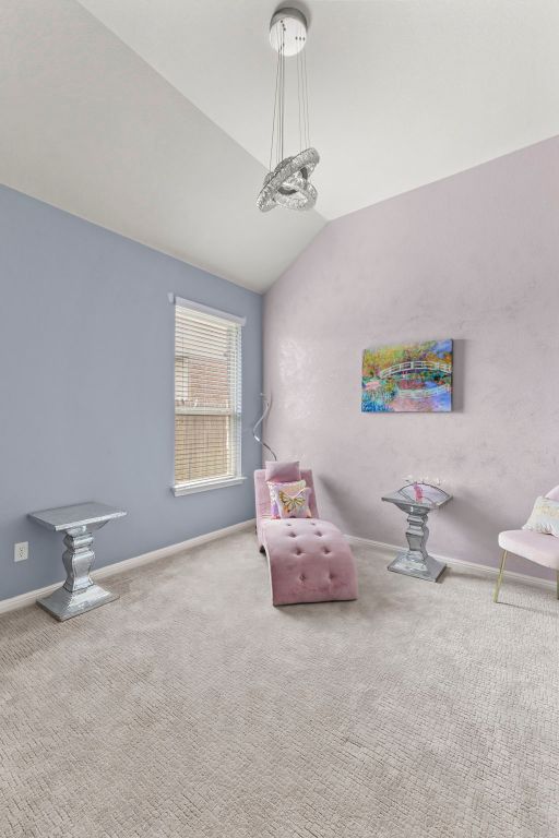 1401 Clearwing Cir, Georgetown, TX 78626 - unfurnished room with vaulted ceiling, carpet floors, and baseboards