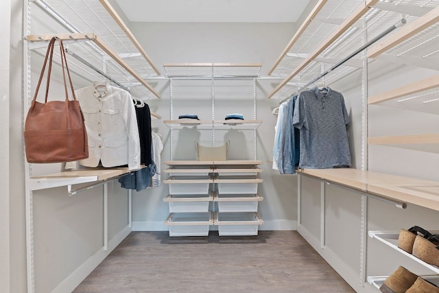 walk in closet featuring wood finished floors