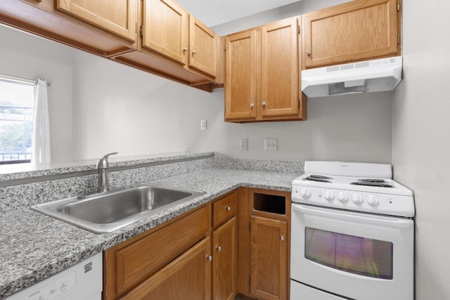 kitchen with a sink, white appliances, light countertops, and under cabinet range hood