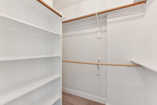spacious closet with carpet floors
