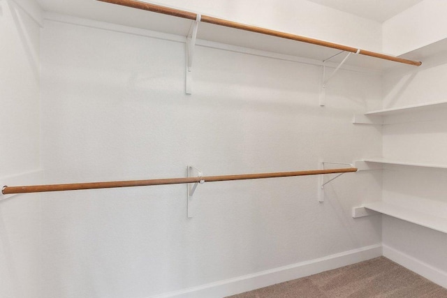 walk in closet with light carpet