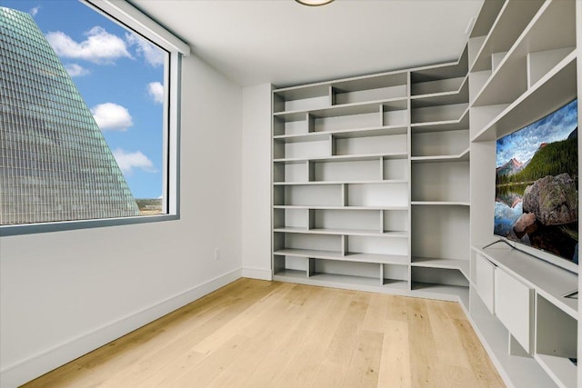 walk in closet featuring light wood-style flooring