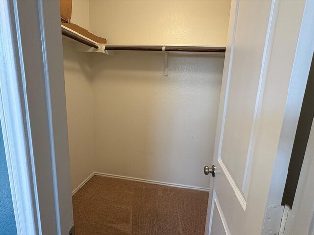 spacious closet featuring carpet
