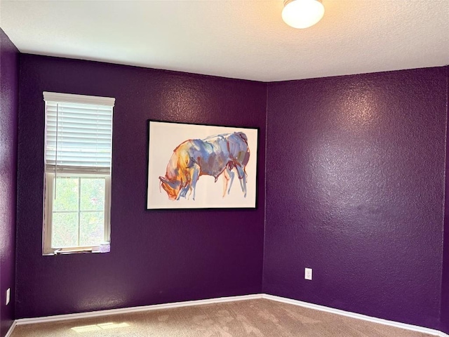 spare room featuring a textured wall, carpet, and baseboards