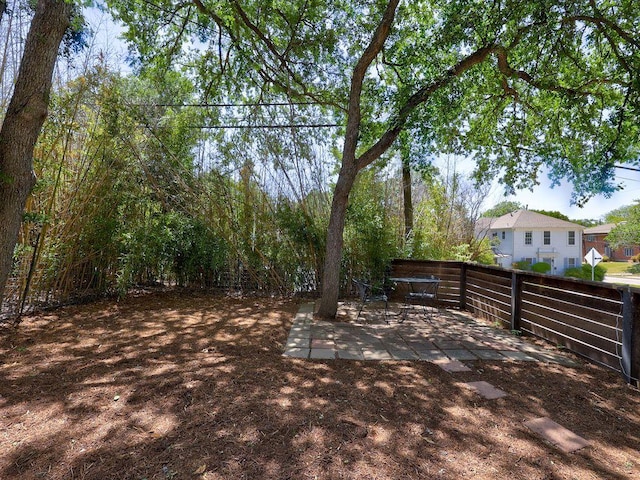 view of yard with a patio