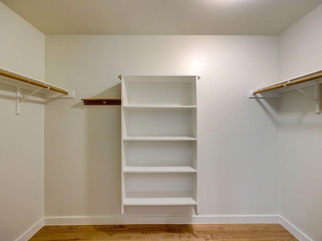 spacious closet featuring wood finished floors