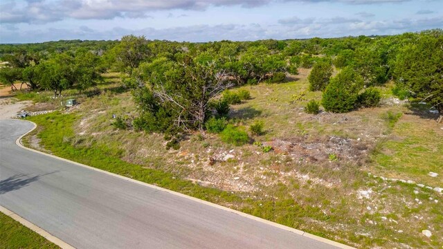 LOT50 Mountain Laurel Ln, Spicewood, TX 78669 - photo 3