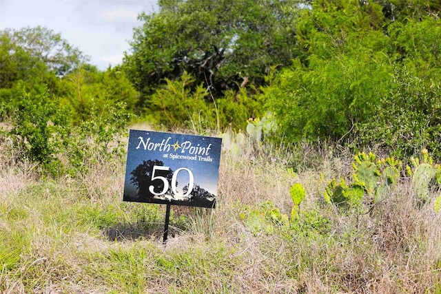 LOT50 Mountain Laurel Ln, Spicewood, TX 78669 - photo 2