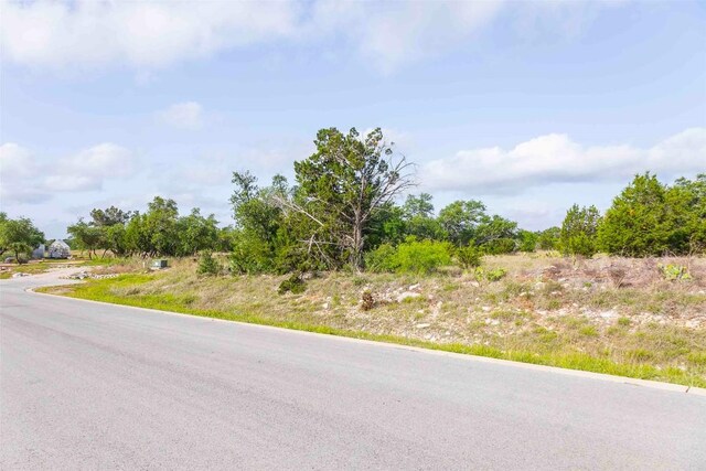 LOT50 Mountain Laurel Ln, Spicewood, TX 78669 - photo 5