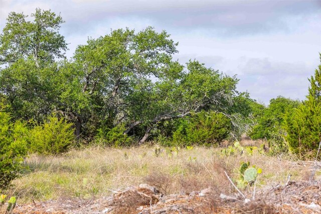 LOT50 Mountain Laurel Ln, Spicewood, TX 78669 - photo 8