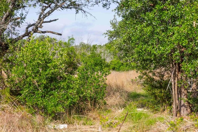 LOT50 Mountain Laurel Ln, Spicewood, TX 78669 - photo 9