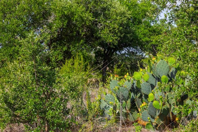 LOT50 Mountain Laurel Ln, Spicewood, TX 78669 - photo 10
