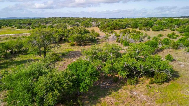 LOT50 Mountain Laurel Ln, Spicewood, TX 78669 - photo 18