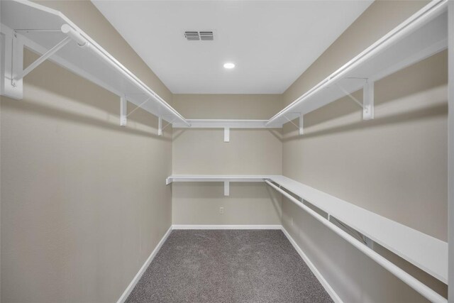 510 Circle Rd, Horseshoe Bay, TX 78657 - walk in closet featuring carpet floors