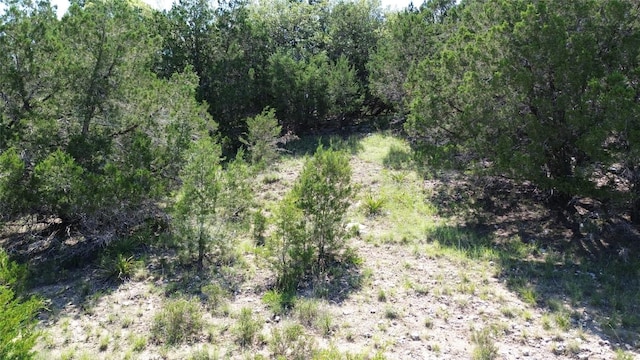 3707 Buckeye Dr, Lago Vista, TX 78645 - photo 3