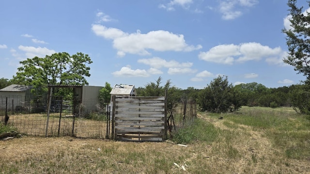 305 Remuda Dr, Liberty Hill, TX 78642 - photo 21