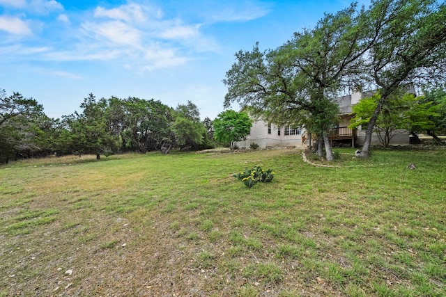 view of yard featuring a wooden deck