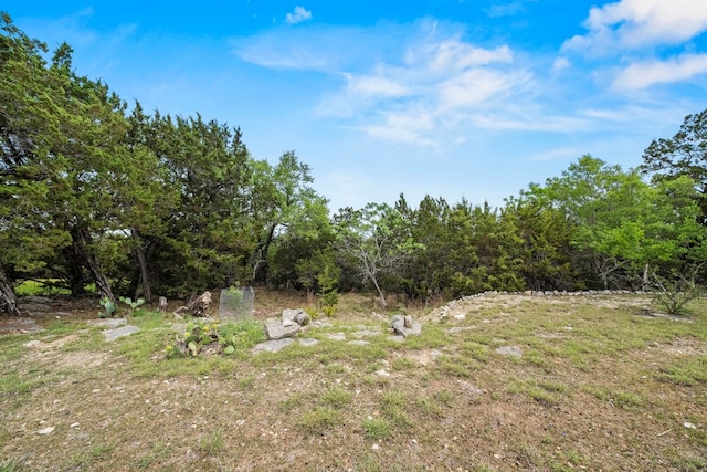 view of yard featuring a forest view