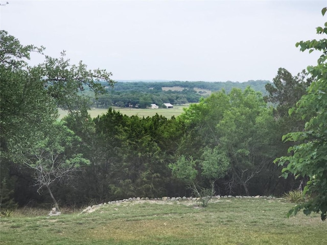 1159 Stallion Springs Dr, Fischer, TX 78623 - view of mountain background