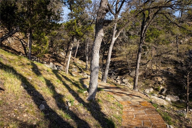 view of landscape