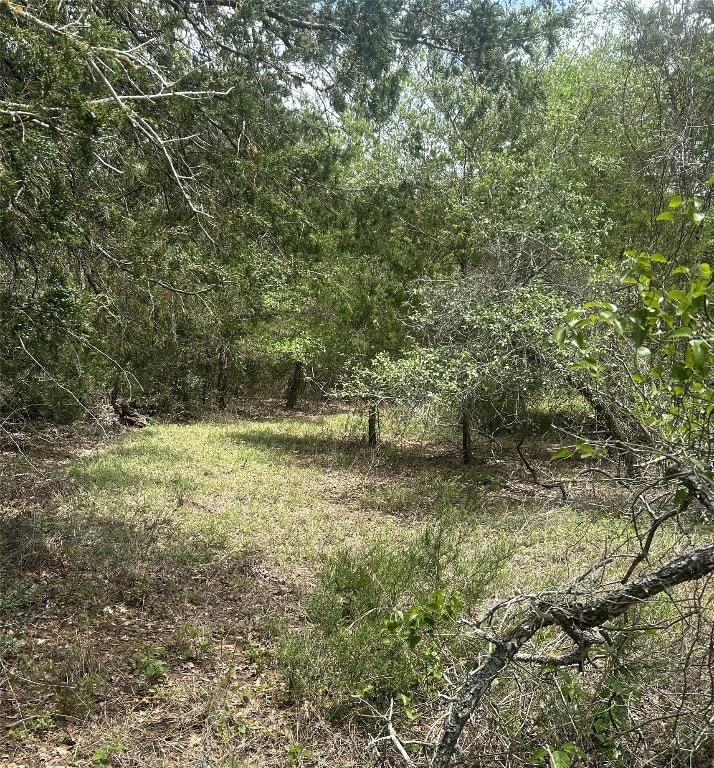 1501 County Road 233rd Rd, Giddings, TX 78942 - photo 1