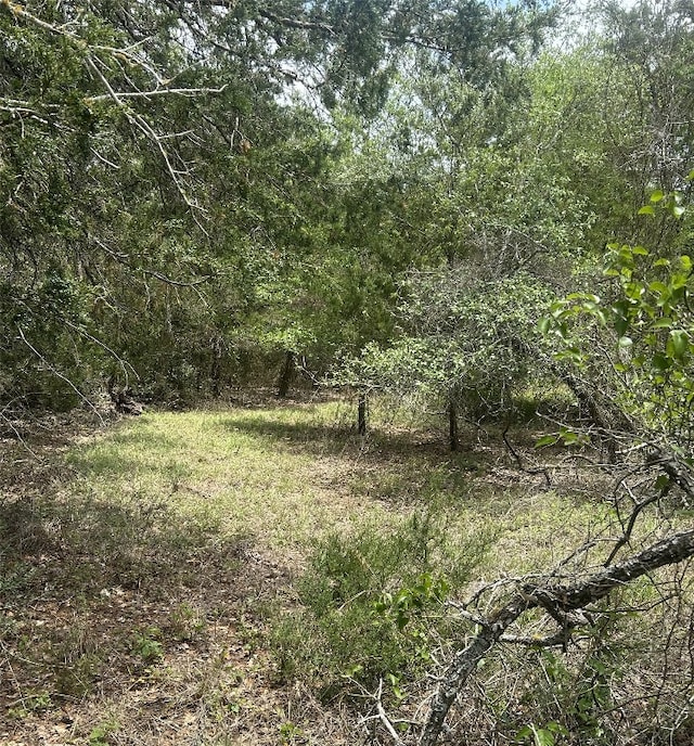 1501 County Road 233rd Rd, Giddings, TX 78942 - photo 1