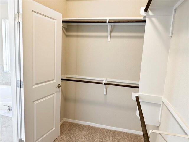 walk in closet featuring carpet