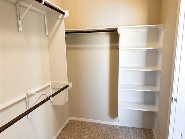 walk in closet featuring carpet floors