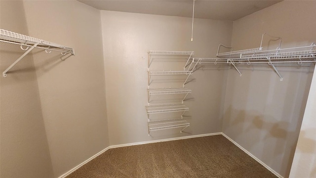 spacious closet with carpet