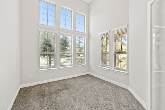 829 Expedition Way, Round Rock, TX 78665 - photo 5