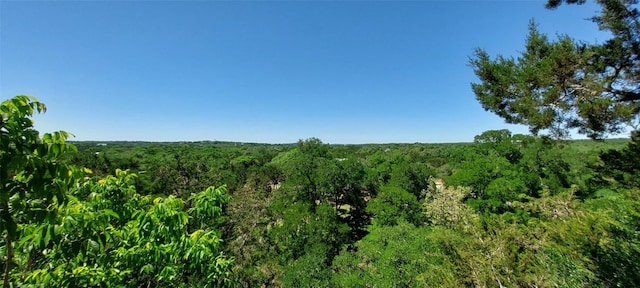 174 Shady Bluff Dr, Wimberley, TX 78676 - photo 1