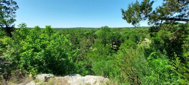 174 Shady Bluff Dr, Wimberley, TX 78676 - photo 9