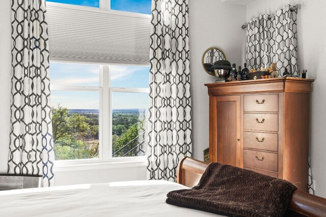 101 Durango Dr, Johnson City, TX 78636 - interior space