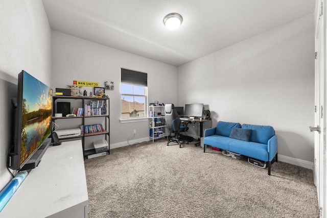3750 E Palm Valley Blvd Unit 98, Round Rock, TX 78665 - home office with baseboards and carpet