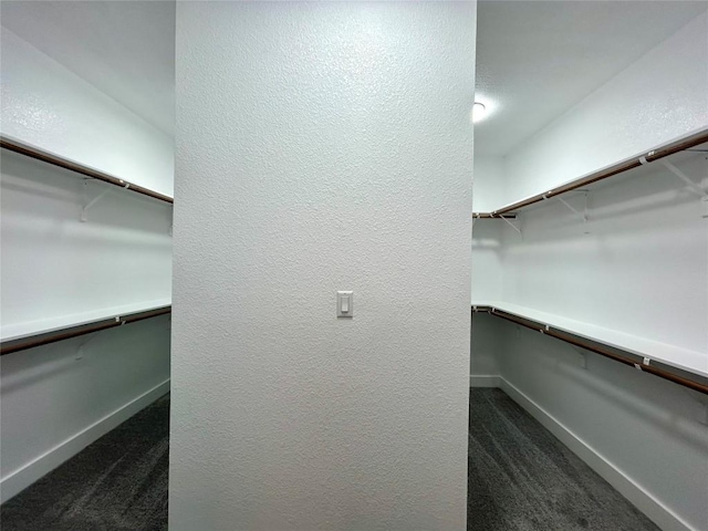 128 Heleakala Dr, Bastrop, TX 78602 - walk in closet featuring dark carpet
