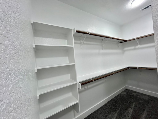 128 Heleakala Dr, Bastrop, TX 78602 - walk in closet with visible vents and dark carpet