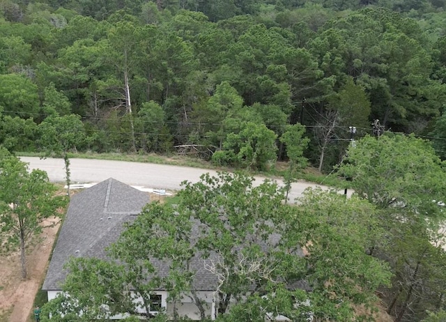 128 Heleakala Dr, Bastrop, TX 78602 - view of yard featuring a forest view