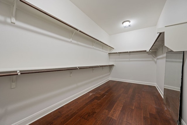 spacious closet featuring wood finished floors