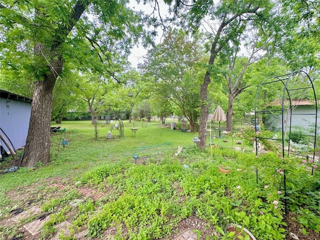 view of yard