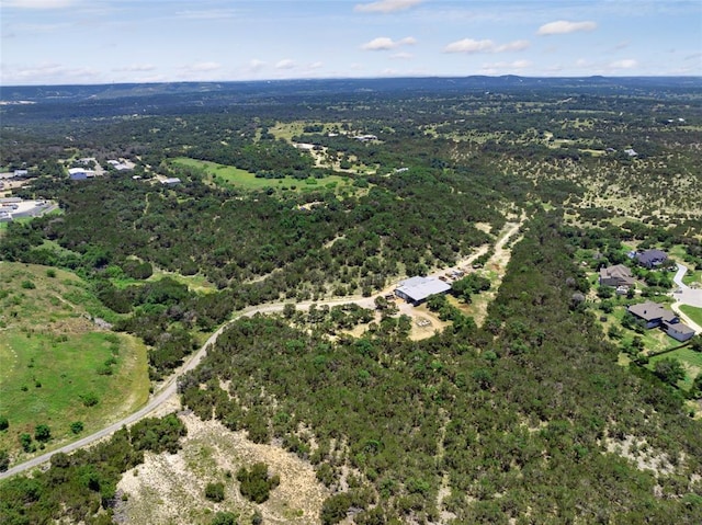 21511 W State Hy 71 W, Spicewood, TX 78669 - photo 29