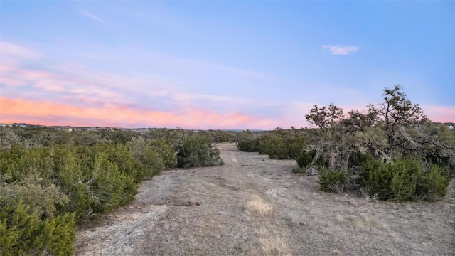 view of nature