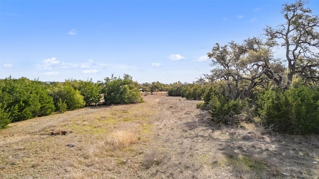 view of landscape with a rural view