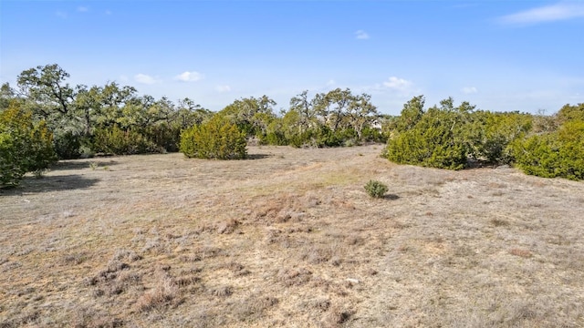 view of local wilderness