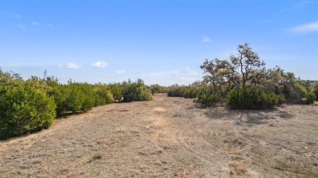 view of nature featuring a rural view