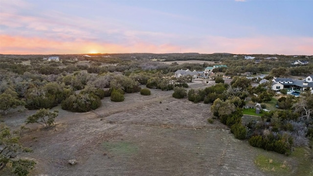 view of local wilderness