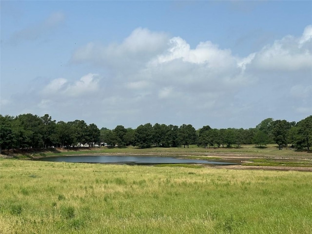 103 Bonham Ln, Paige, TX 78659 - view of community featuring a water view and a forest view