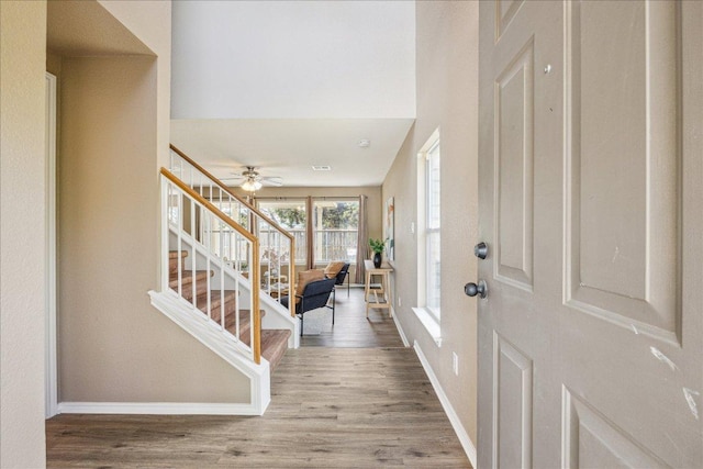 4108 Whitecrest Cv, Round Rock, TX 78681 - foyer with stairs, wood finished floors, and a ceiling fan