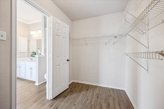 4108 Whitecrest Cv, Round Rock, TX 78681 - walk in closet featuring wood finished floors and a sink