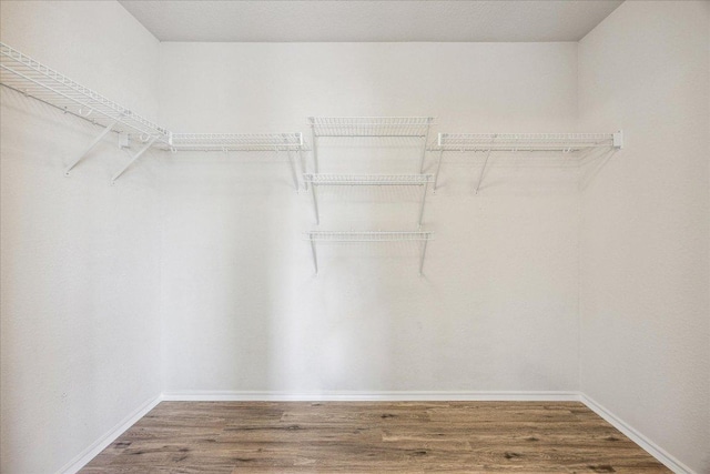 4108 Whitecrest Cv, Round Rock, TX 78681 - walk in closet featuring wood finished floors