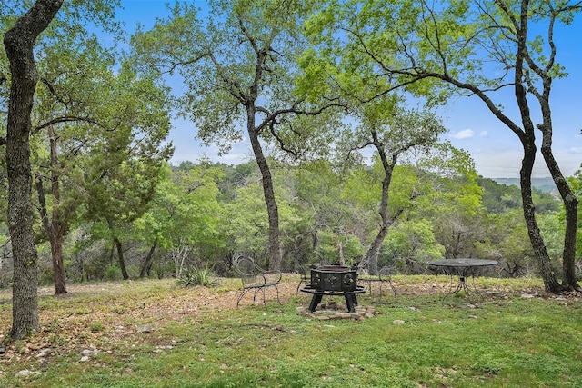 7800 Aspen Highlands Dr, Austin, TX 78746 - view of yard featuring a wooded view and a fire pit